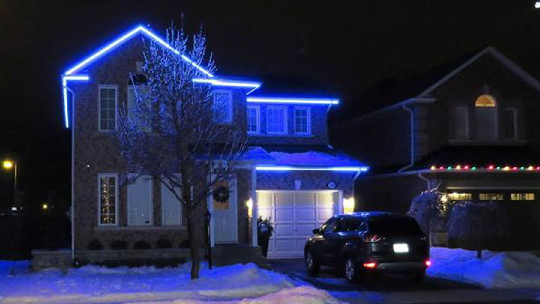 Moss LED Flexible strip LEDs make great replacement Christmas lights!