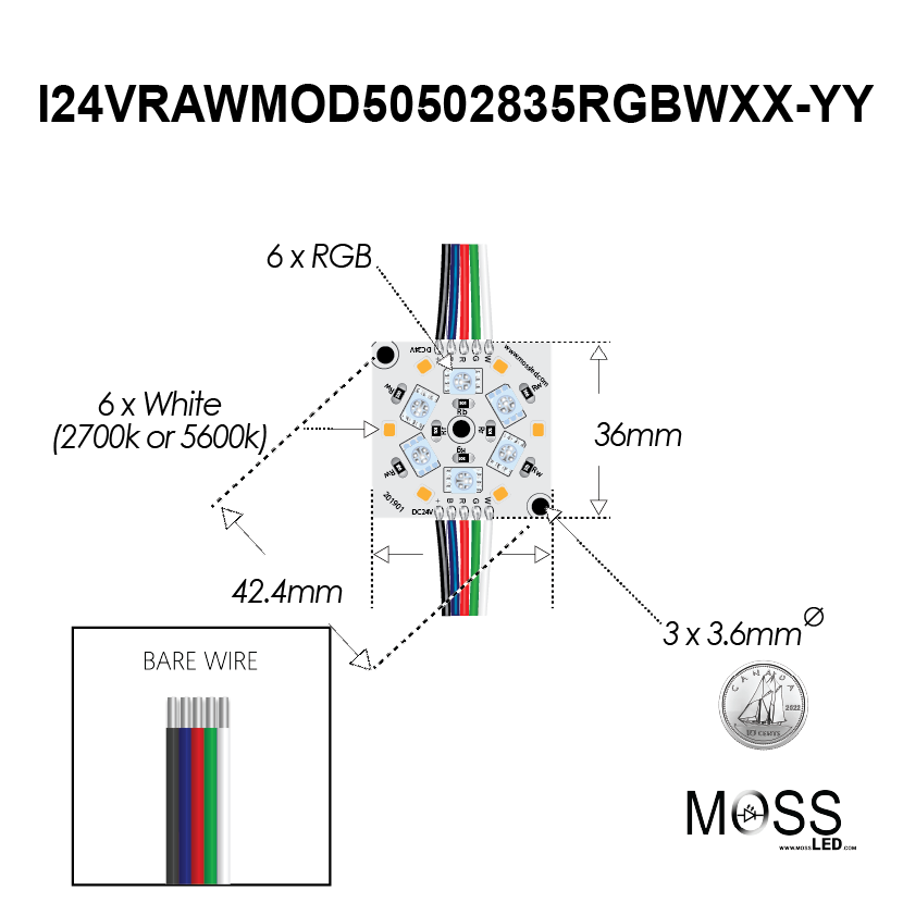 RawModule 12-LED RGB+W