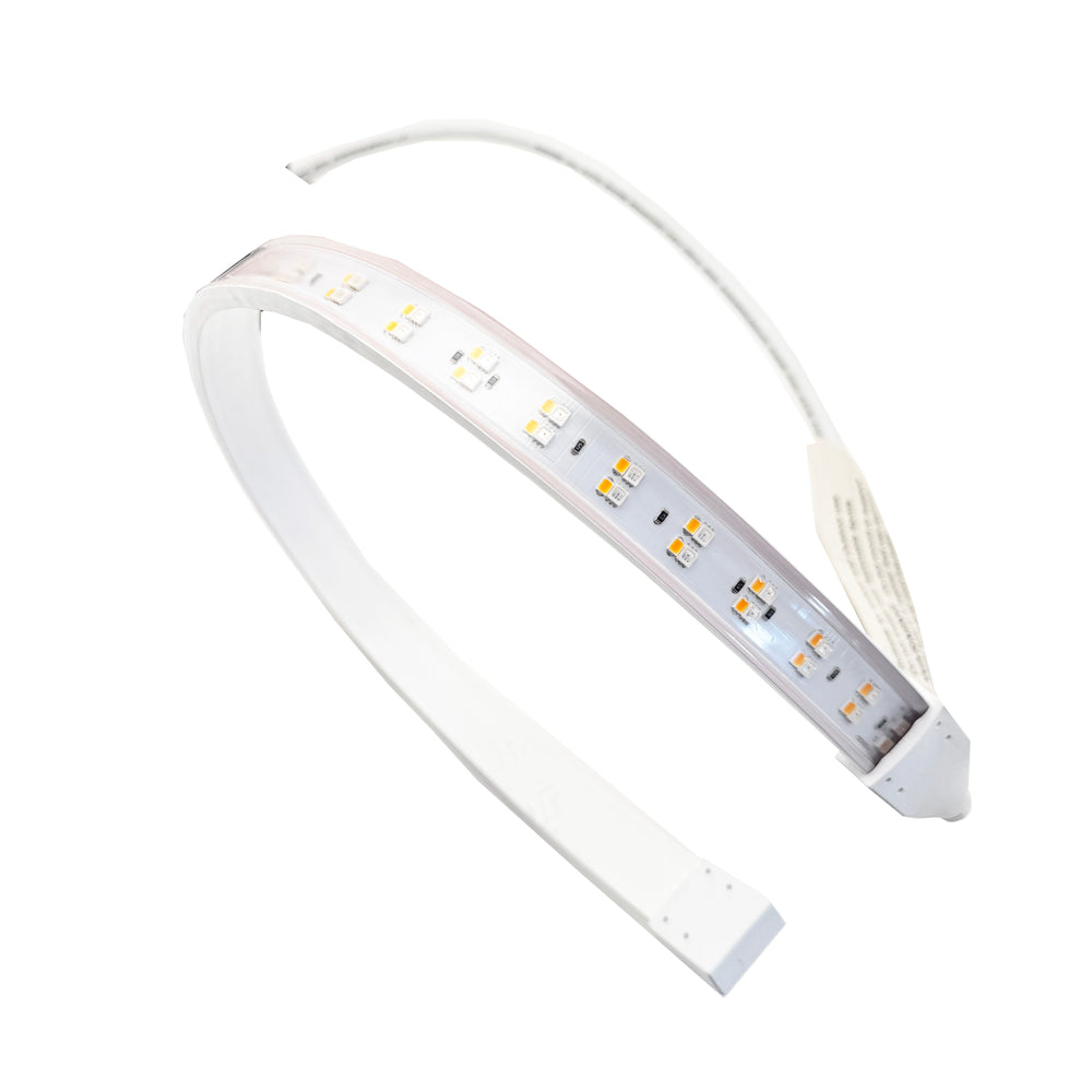 Moss LED FlexLED 120 VDC RGBW LED strip curved showing red green blue white diodes white background