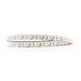 Moss LED FlexLED 120 White 12V 2700K 120 LED per metre uncoiled strip flat view showing warm white LED chips white background