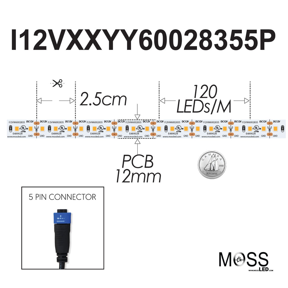 Moss LED FlexLED 120 White 12V spec diagram showing 2.5cm cut interval 120 LED per metre 12mm PCB and 5 pin connector