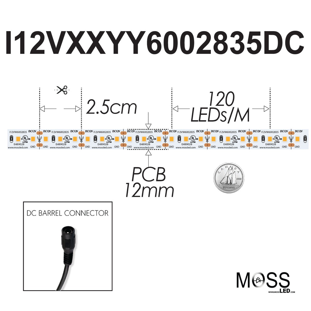 Moss LED FlexLED 120 White 12V spec diagram showing 2.5cm cut interval 120 LED per metre 12mm PCB and DC barrel connector