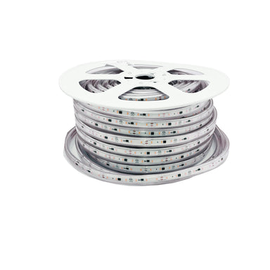 Moss LED FlexLED 120VAC white LED 50m spool reel with North American plug white background