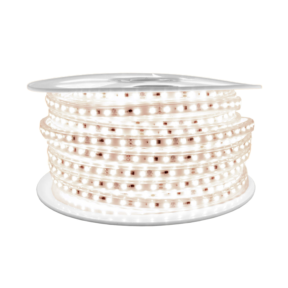 Moss LED FlexLED 120VAC white LED illuminated coiled reel 50m warm white 3000K white background