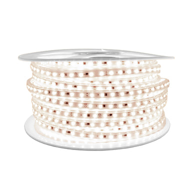 Moss LED FlexLED 120VAC white LED illuminated coiled reel 50m warm white 3000K white background