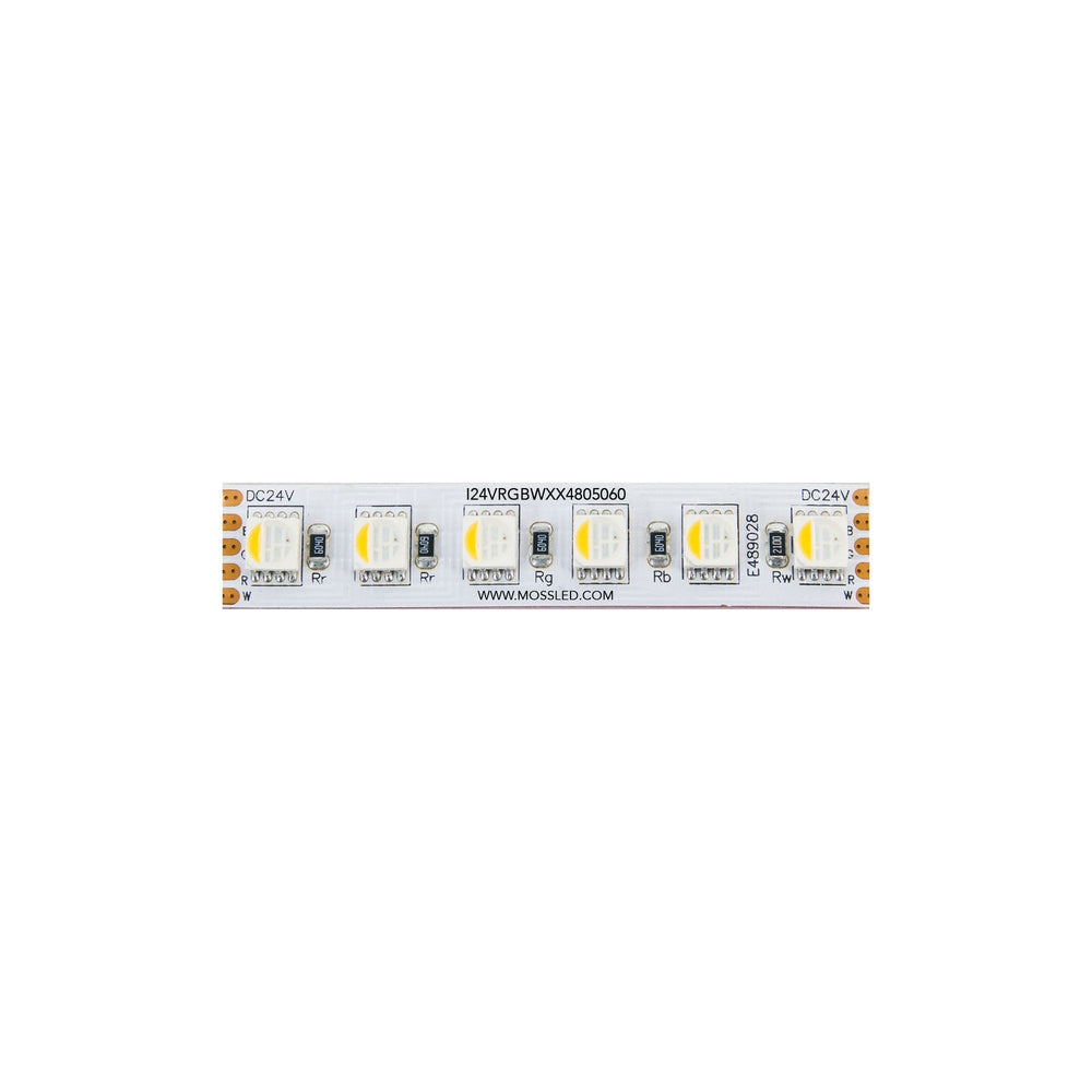 Moss LED FlexLED 96 RGB + White All-In-One 24V strip section flat view showing RGBW 5060 LEDs on white background