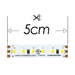 Moss LED FlexLED Bi-Colour 2700K-6000K 12V CCT Adjustable 5cm cut segment close-up showing alternating warm and cool white LED chips