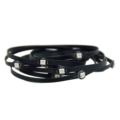 Moss LED Pixel RawModule 1-LED RGB 12V GS8208 black PCB individually addressable pixel dots sold in sets of 20, coiled on white background