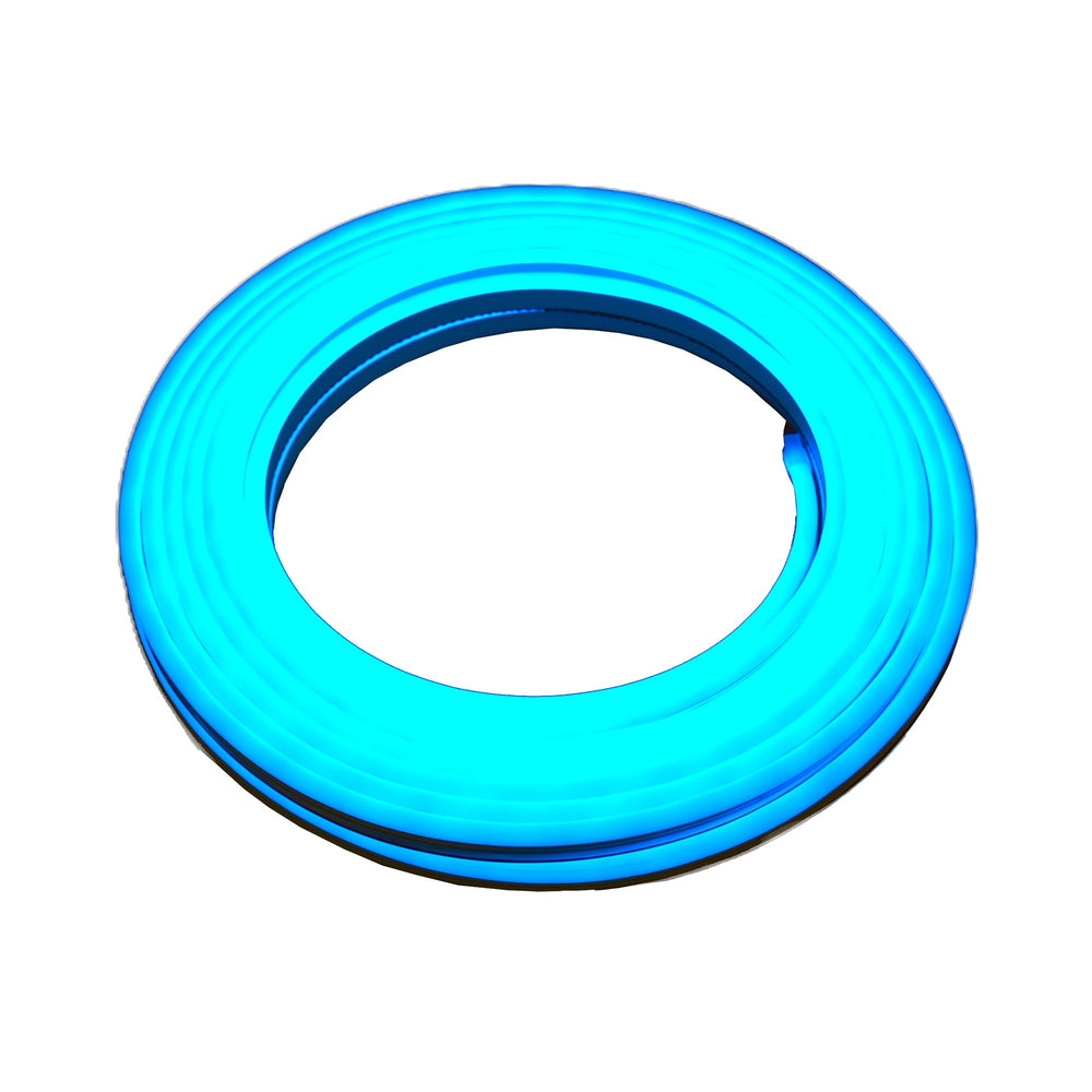 Moss LED SlimNeon FlexLED 12V Cyan coiled ring white background