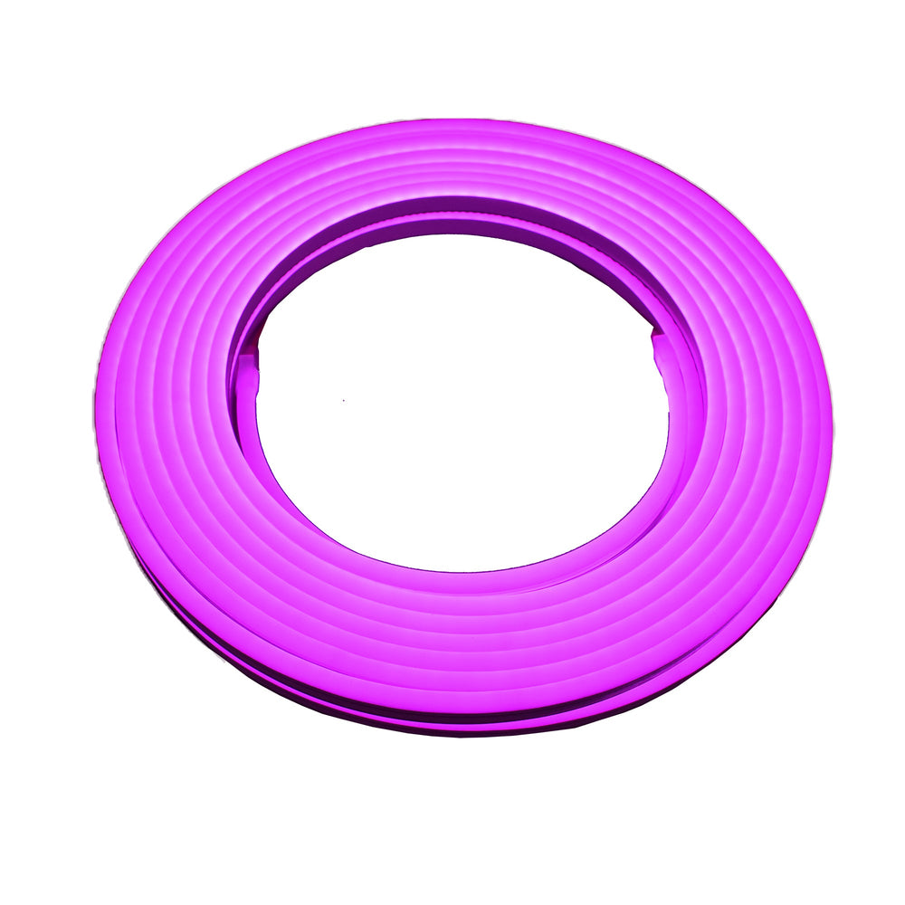 Moss LED SlimNeon FlexLED 12V Magenta coiled ring white background