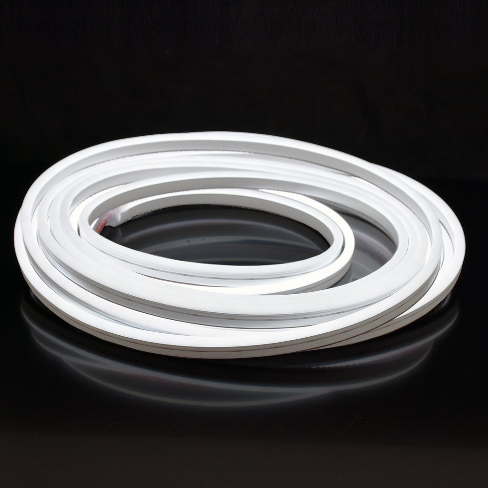 Moss LED SlimNeon FlexLED 12V White coiled reel dark background glowing