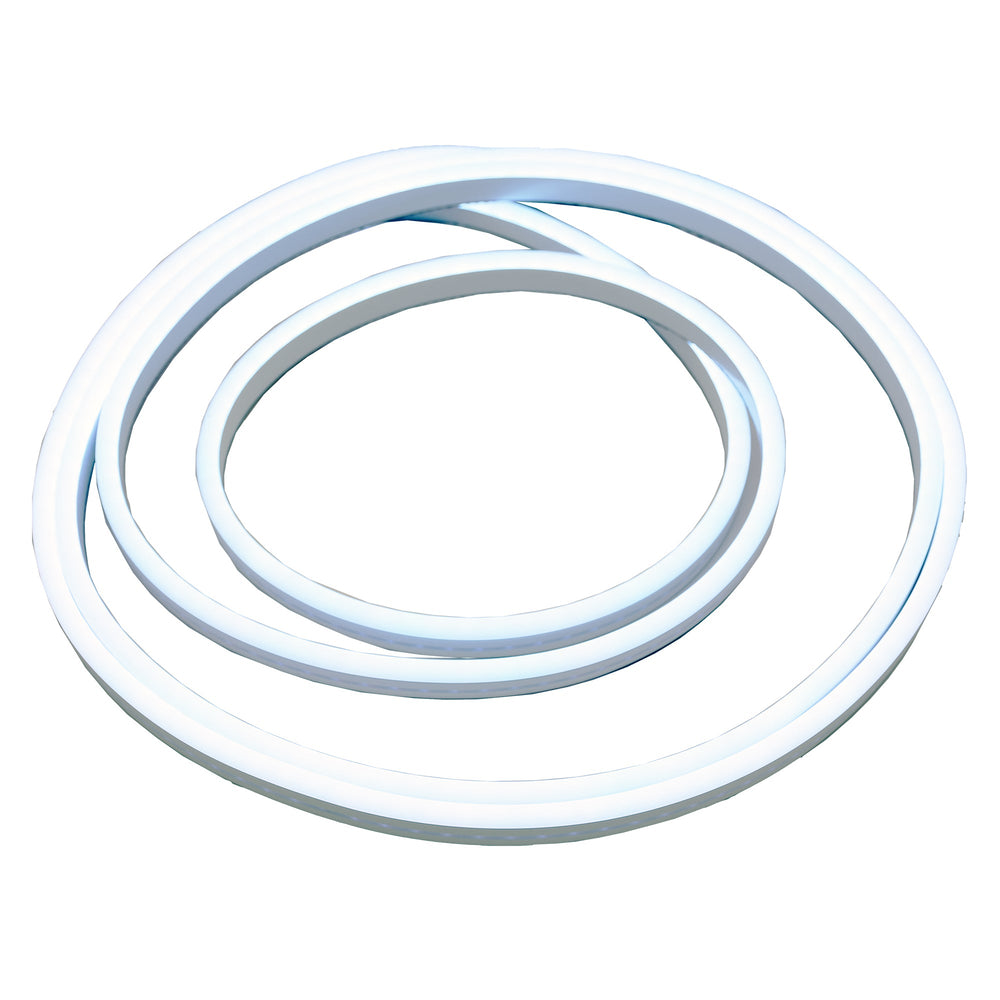 Moss LED SlimNeon FlexLED 12V White coiled ring white background