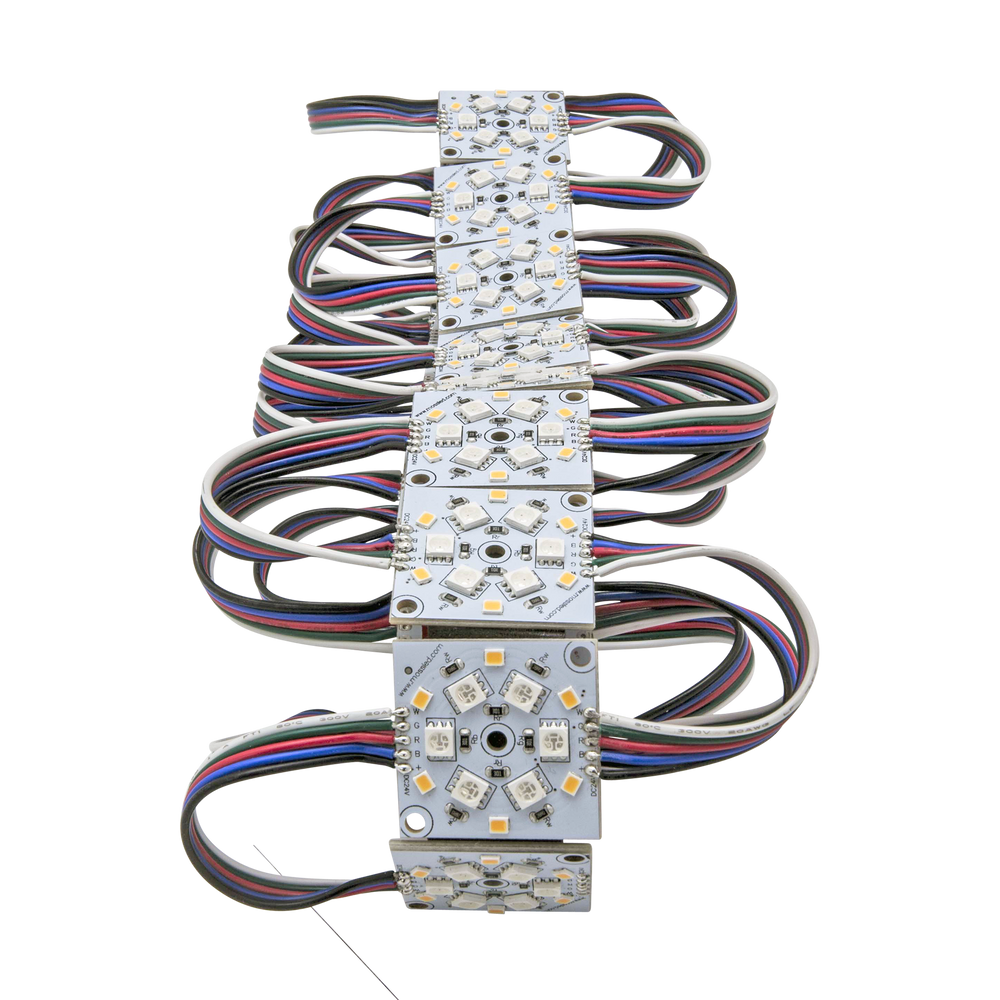 RawModule 12-LED RGB+W
