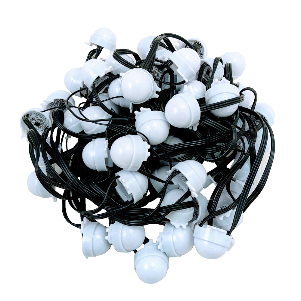 Moss LED 12V Pixel Dots RGBW 50-dot string of diffused white globe pixel lights on white background