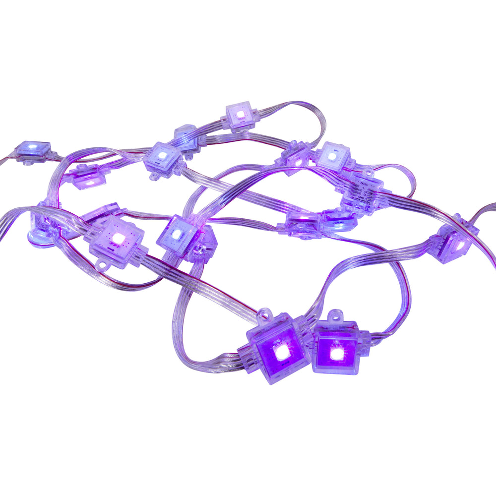 Moss LED 5V Pixel Dots RGB APA102 square module clear lens lit purple cluster white background