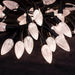Moss LED C9 LED string lights warm white faceted clear bulbs close-up view showing individual bulb detail illuminated decorative holiday lighting on dark background