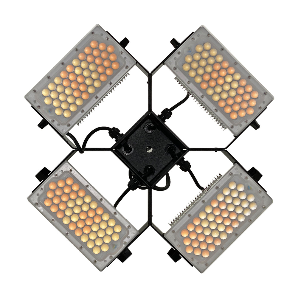 Moss LED Cross-Focus Quattro front view showing four LED panels with warm and cool color temperature LEDs