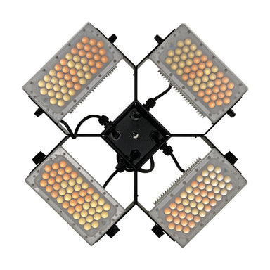 Moss LED Cross-Focus Quattro front view showing four LED panels with warm and cool color temperature LEDs