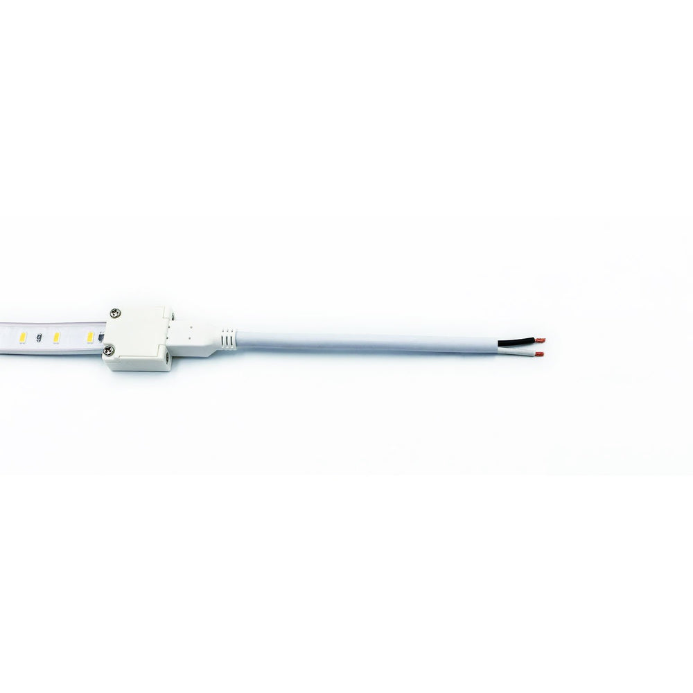 Moss LED FlexLED 120 VAC White LED end cap with 60CM bare end wire red black leads white background