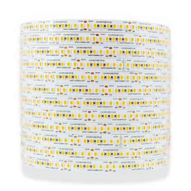 Moss LED FlexLED 196 White 24V 196 LEDs per meter coiled reel on white background