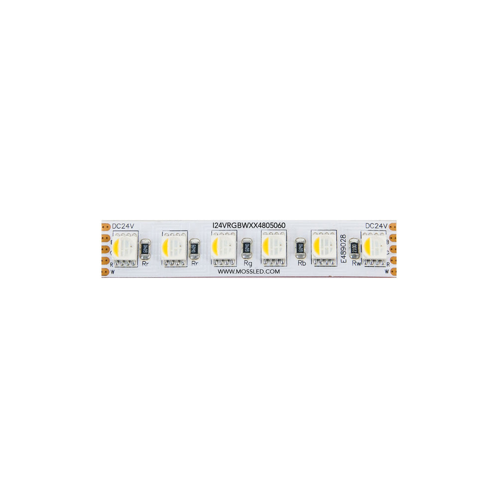 Moss LED FlexLED 96 RGB + White All-In-One 24V close-up flat lay section showing individual RGB and white all-in-one LED diodes 96 LEDs/m