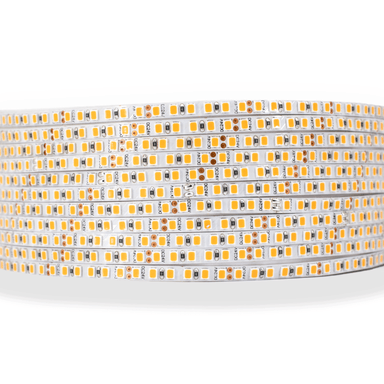 Moss LED FlexLEDslim 180 White 24V – 180 LED/m ultra-slim warm white LED strip, dense coil close-up