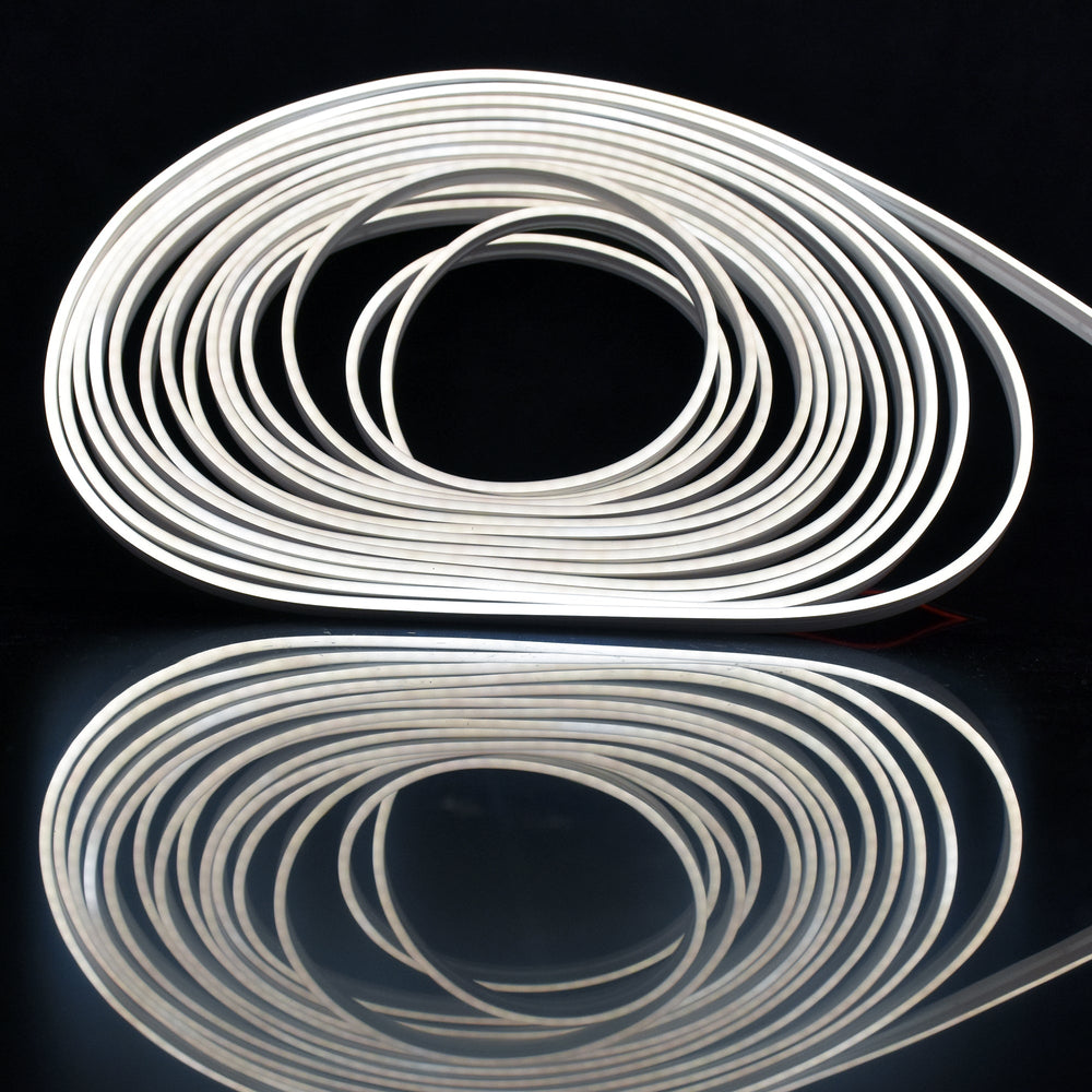 Moss LED MiniNeon FlexLED illuminated coiled reel glowing white light with reflection on black surface 24V