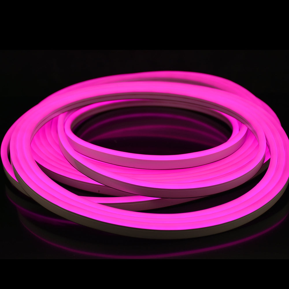 Moss LED SlimNeon FlexLED 12V Magenta coiled reel dark background glowing neon effect