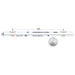 Moss LED SoftFLEX LED 630 RGB 24V 10cm cut point diagram 10mm PCB size reference with coin