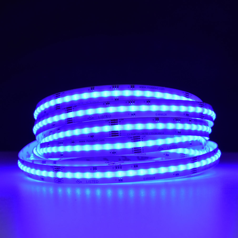 Moss LED SoftFLEX LED 700 RGB+WW+CW 24V CRI90 COB illuminated coiled reel blue color dark background