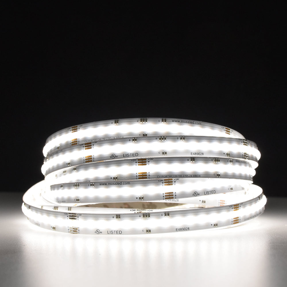 Moss LED SoftFLEX LED 700 RGB+WW+CW 24V CRI90 COB illuminated coiled reel bright cool white color dark background