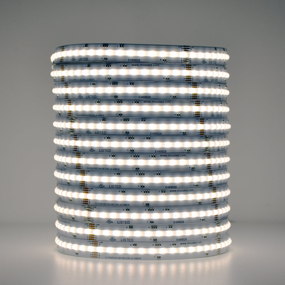 Moss LED SoftFLEX LED 700 RGB+WW+CW 24V CRI90 COB illuminated coiled reel cool white daylight color gray background